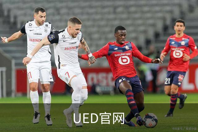 UED官网公司介绍